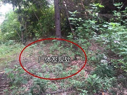 广州附近学生快餐z6尊龙平台的联系方式大公开!吃货必看省钱攻略,广州哪里还有快餐